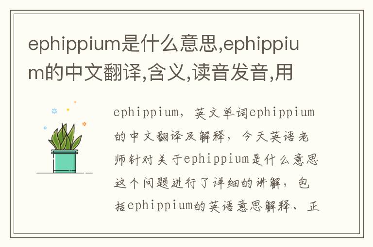 ephippium是什么意思,ephippium的中文翻译,含义,读音发音,用法,造句,参考例句