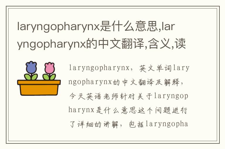 laryngopharynx是什么意思,laryngopharynx的中文翻译,含义,读音发音,用法,造句,参考例句