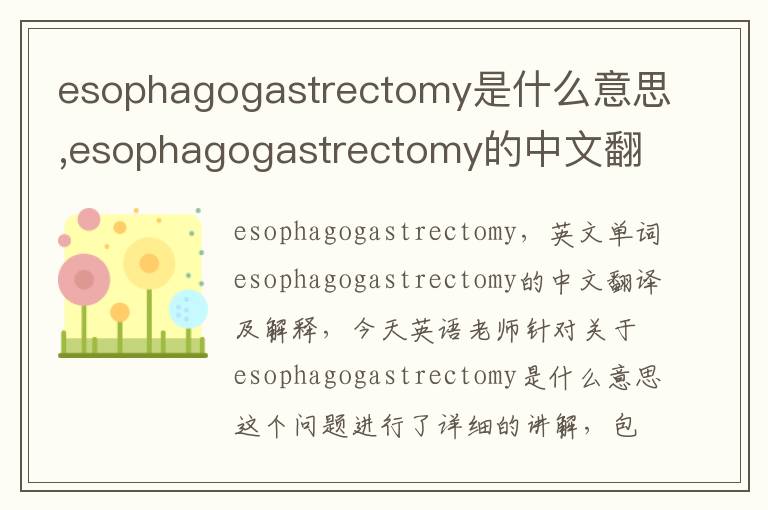 esophagogastrectomy是什么意思,esophagogastrectomy的中文翻译,含义,读音发音,用法,造句,参考例句