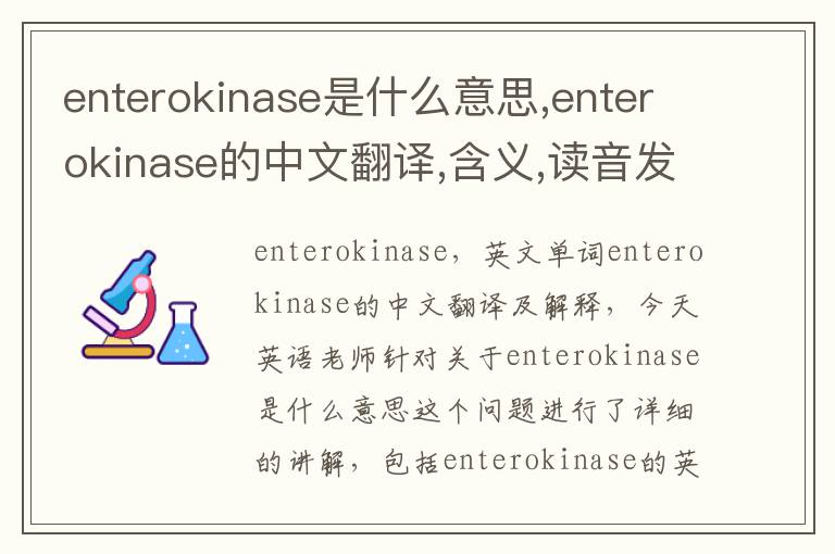 enterokinase是什么意思,enterokinase的中文翻译,含义,读音发音,用法,造句,参考例句