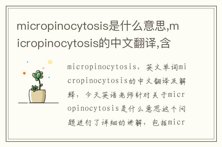 micropinocytosis是什么意思,micropinocytosis的中文翻译,含义,读音发音,用法,造句,参考例句