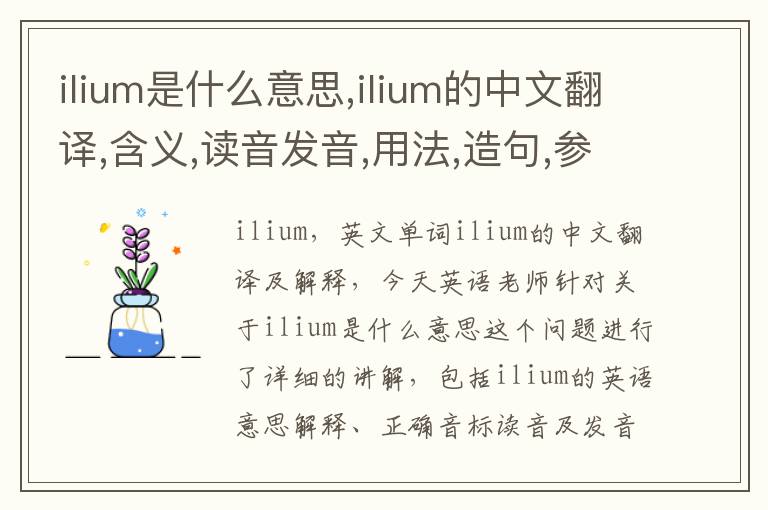 ilium是什么意思,ilium的中文翻译,含义,读音发音,用法,造句,参考例句