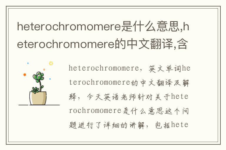 heterochromomere是什么意思,heterochromomere的中文翻译,含义,读音发音,用法,造句,参考例句