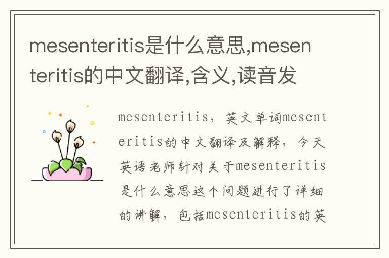 mesenteritis是什么意思,mesenteritis的中文翻译,含义,读音发音,用法,造句,参考例句