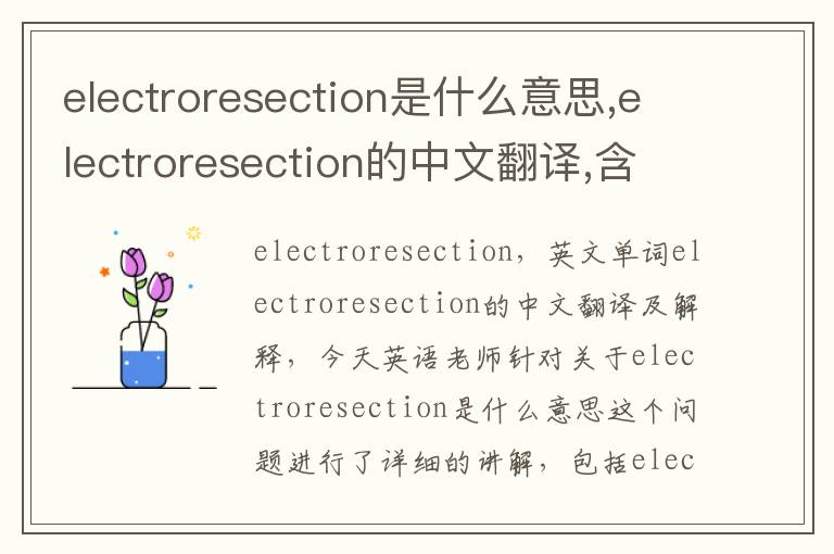 electroresection是什么意思,electroresection的中文翻译,含义,读音发音,用法,造句,参考例句