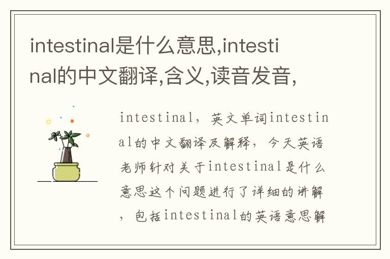 intestinal是什么意思,intestinal的中文翻译,含义,读音发音,用法,造句,参考例句