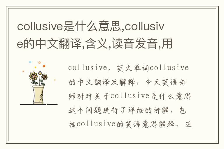 collusive是什么意思,collusive的中文翻译,含义,读音发音,用法,造句,参考例句