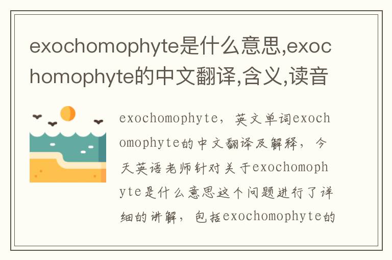 exochomophyte是什么意思,exochomophyte的中文翻译,含义,读音发音,用法,造句,参考例句