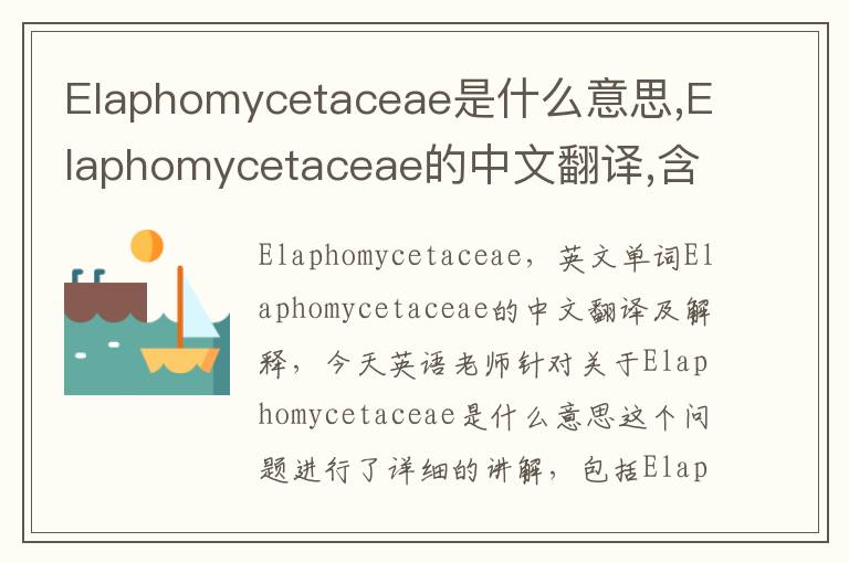 Elaphomycetaceae是什么意思,Elaphomycetaceae的中文翻译,含义,读音发音,用法,造句,参考例句