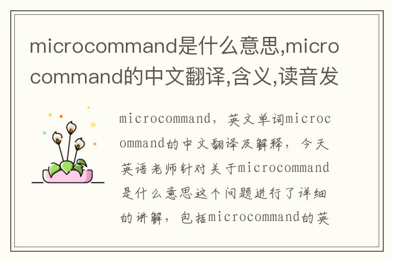 microcommand是什么意思,microcommand的中文翻译,含义,读音发音,用法,造句,参考例句