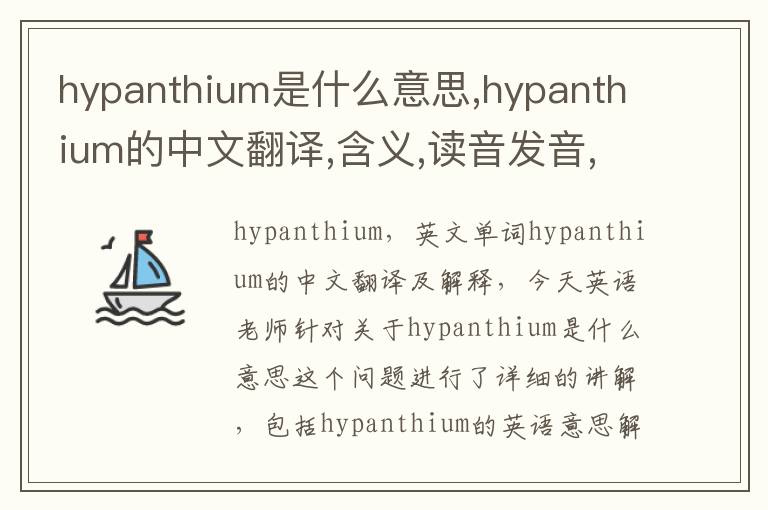 hypanthium是什么意思,hypanthium的中文翻译,含义,读音发音,用法,造句,参考例句