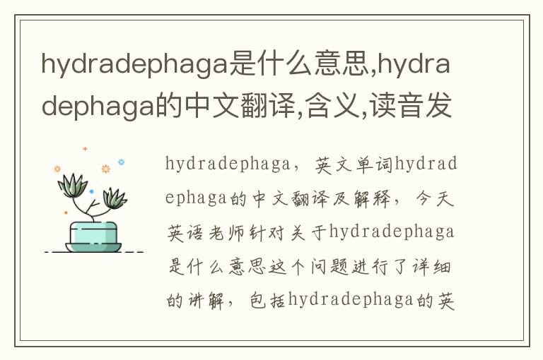 hydradephaga是什么意思,hydradephaga的中文翻译,含义,读音发音,用法,造句,参考例句