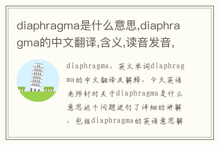 diaphragma是什么意思,diaphragma的中文翻译,含义,读音发音,用法,造句,参考例句