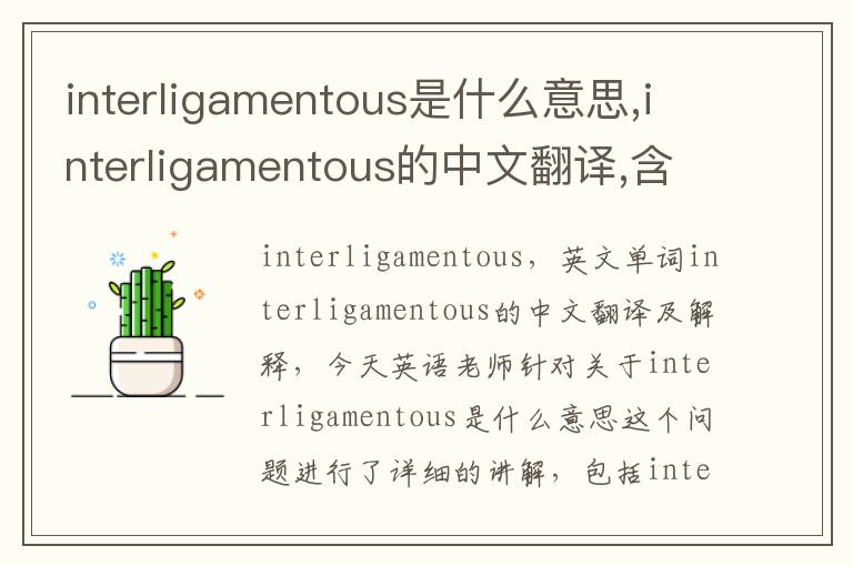 interligamentous是什么意思,interligamentous的中文翻译,含义,读音发音,用法,造句,参考例句