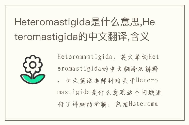 Heteromastigida是什么意思,Heteromastigida的中文翻译,含义,读音发音,用法,造句,参考例句