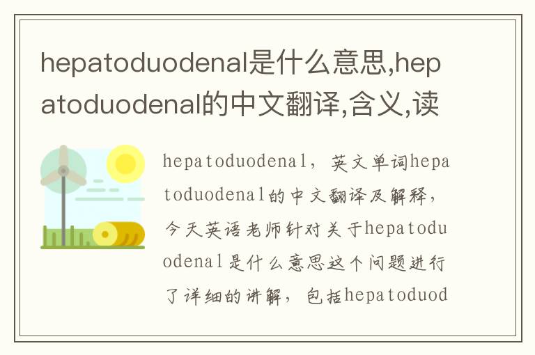 hepatoduodenal是什么意思,hepatoduodenal的中文翻译,含义,读音发音,用法,造句,参考例句