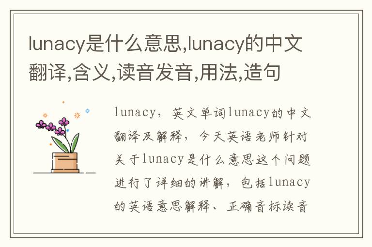 lunacy是什么意思,lunacy的中文翻译,含义,读音发音,用法,造句,参考例句