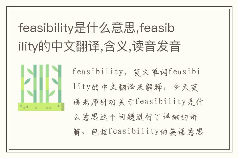 feasibility是什么意思,feasibility的中文翻译,含义,读音发音,用法,造句,参考例句