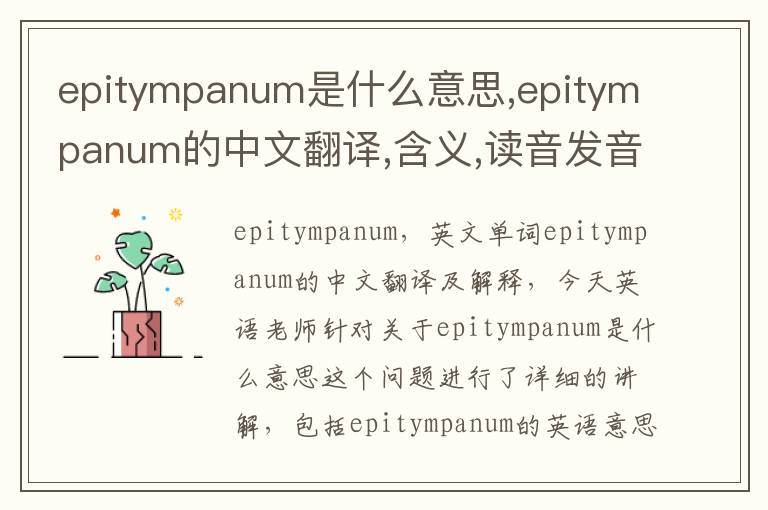 epitympanum是什么意思,epitympanum的中文翻译,含义,读音发音,用法,造句,参考例句