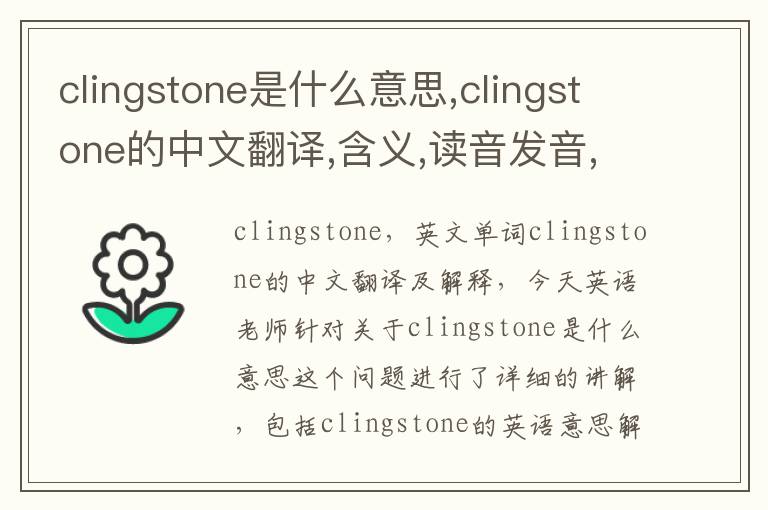 clingstone是什么意思,clingstone的中文翻译,含义,读音发音,用法,造句,参考例句