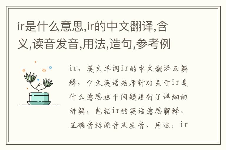 ir是什么意思,ir的中文翻译,含义,读音发音,用法,造句,参考例句