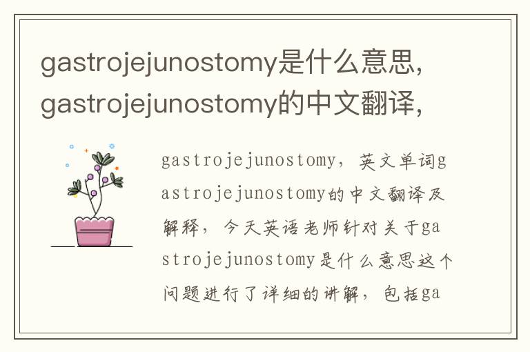 gastrojejunostomy是什么意思,gastrojejunostomy的中文翻译,含义,读音发音,用法,造句,参考例句