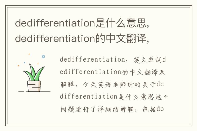 dedifferentiation是什么意思,dedifferentiation的中文翻译,含义,读音发音,用法,造句,参考例句