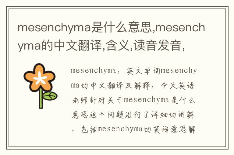 mesenchyma是什么意思,mesenchyma的中文翻译,含义,读音发音,用法,造句,参考例句