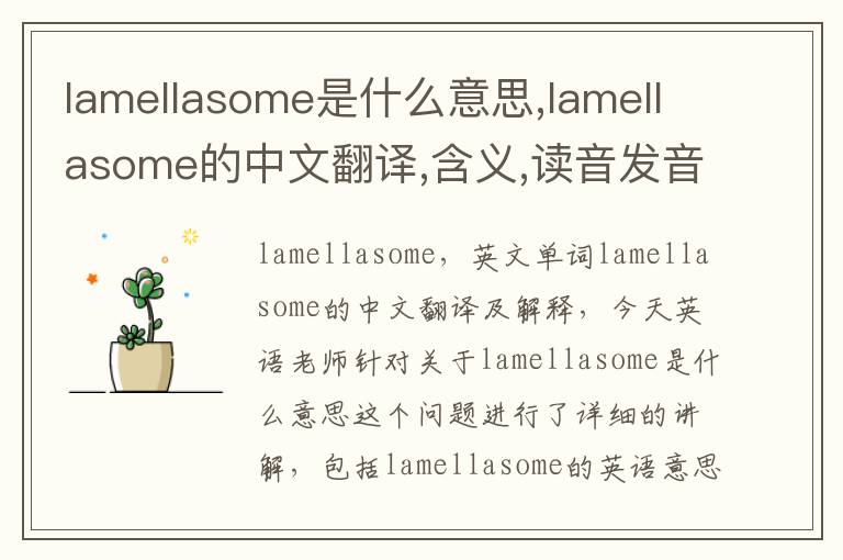 lamellasome是什么意思,lamellasome的中文翻译,含义,读音发音,用法,造句,参考例句