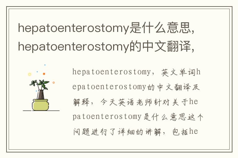 hepatoenterostomy是什么意思,hepatoenterostomy的中文翻译,含义,读音发音,用法,造句,参考例句