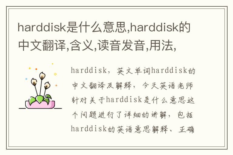 harddisk是什么意思,harddisk的中文翻译,含义,读音发音,用法,造句,参考例句