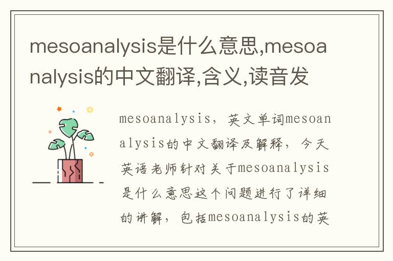 mesoanalysis是什么意思,mesoanalysis的中文翻译,含义,读音发音,用法,造句,参考例句