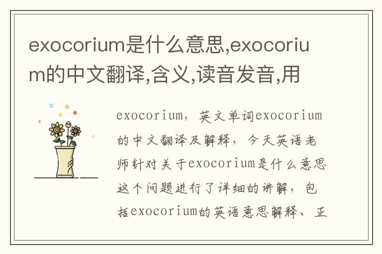 exocorium是什么意思,exocorium的中文翻译,含义,读音发音,用法,造句,参考例句