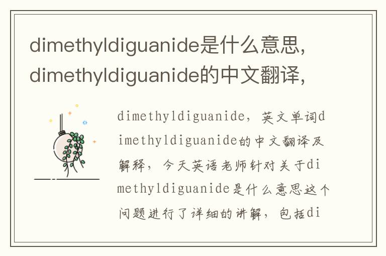 dimethyldiguanide是什么意思,dimethyldiguanide的中文翻译,含义,读音发音,用法,造句,参考例句