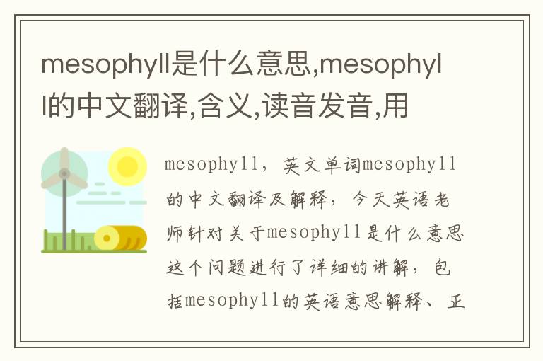 mesophyll是什么意思,mesophyll的中文翻译,含义,读音发音,用法,造句,参考例句