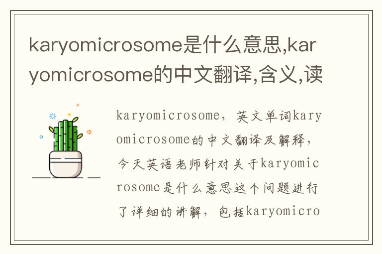 karyomicrosome是什么意思,karyomicrosome的中文翻译,含义,读音发音,用法,造句,参考例句