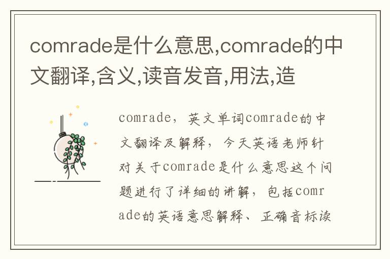 comrade是什么意思,comrade的中文翻译,含义,读音发音,用法,造句,参考例句