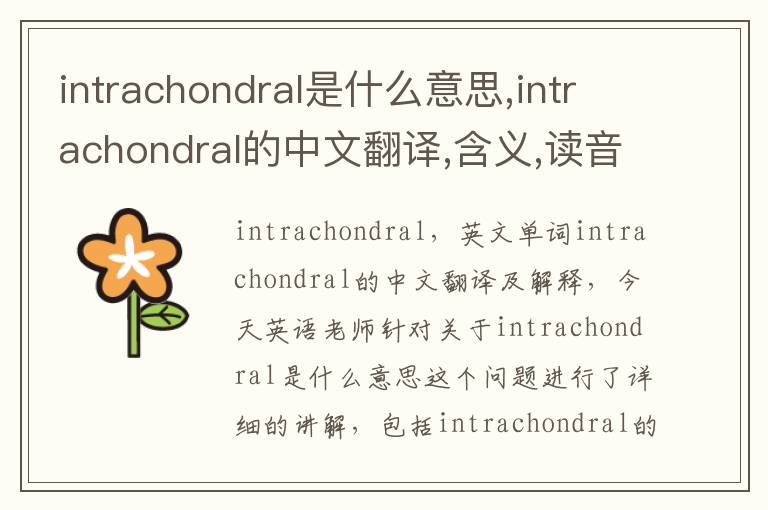 intrachondral是什么意思,intrachondral的中文翻译,含义,读音发音,用法,造句,参考例句