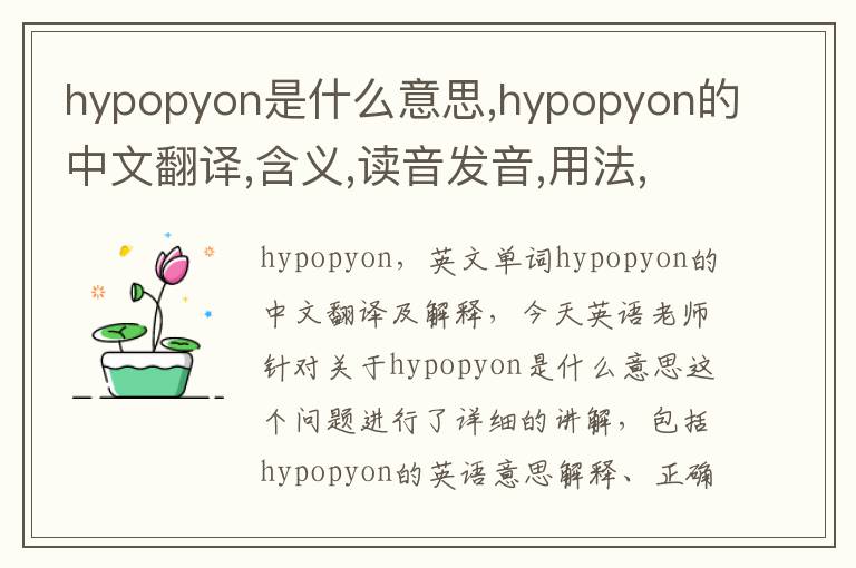 hypopyon是什么意思,hypopyon的中文翻译,含义,读音发音,用法,造句,参考例句