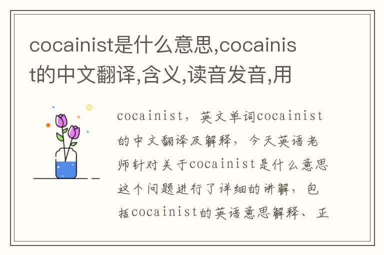 cocainist是什么意思,cocainist的中文翻译,含义,读音发音,用法,造句,参考例句