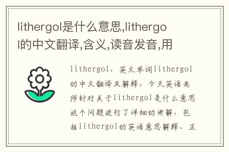 lithergol是什么意思,lithergol的中文翻译,含义,读音发音,用法,造句,参考例句