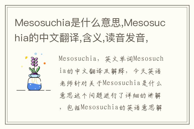 Mesosuchia是什么意思,Mesosuchia的中文翻译,含义,读音发音,用法,造句,参考例句