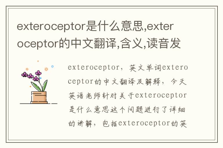 exteroceptor是什么意思,exteroceptor的中文翻译,含义,读音发音,用法,造句,参考例句