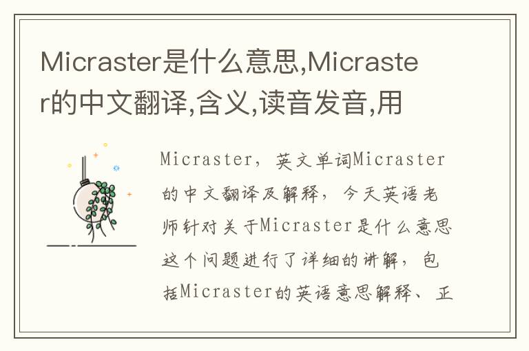 Micraster是什么意思,Micraster的中文翻译,含义,读音发音,用法,造句,参考例句