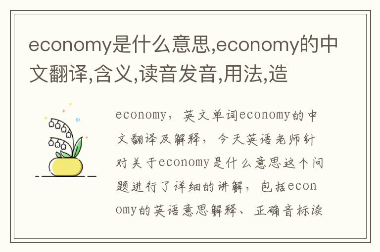 economy是什么意思,economy的中文翻译,含义,读音发音,用法,造句,参考例句