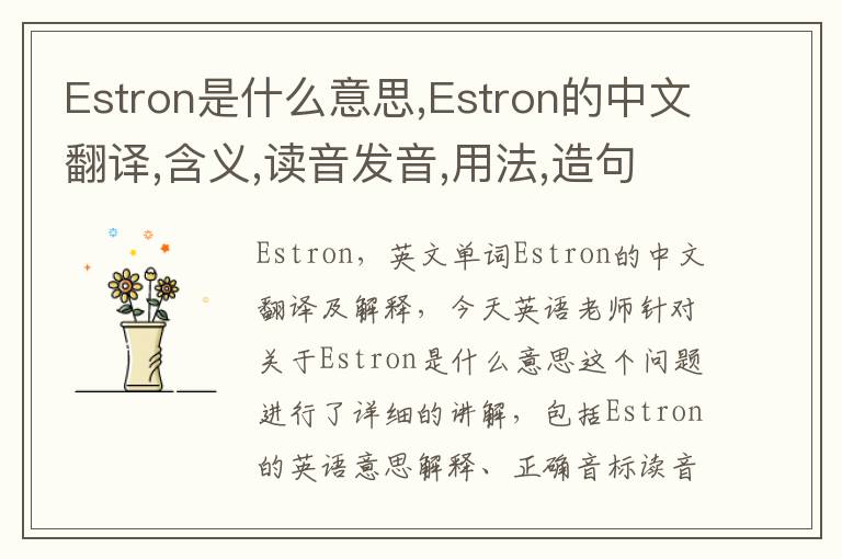 Estron是什么意思,Estron的中文翻译,含义,读音发音,用法,造句,参考例句