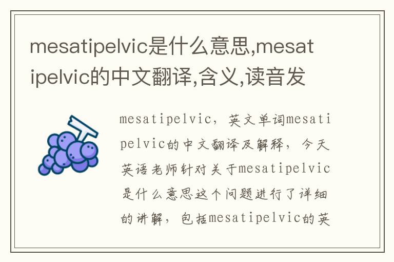 mesatipelvic是什么意思,mesatipelvic的中文翻译,含义,读音发音,用法,造句,参考例句