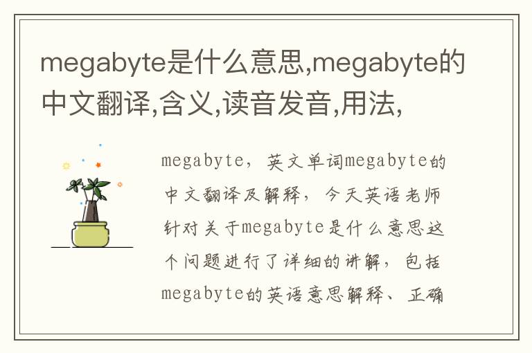 megabyte是什么意思,megabyte的中文翻译,含义,读音发音,用法,造句,参考例句