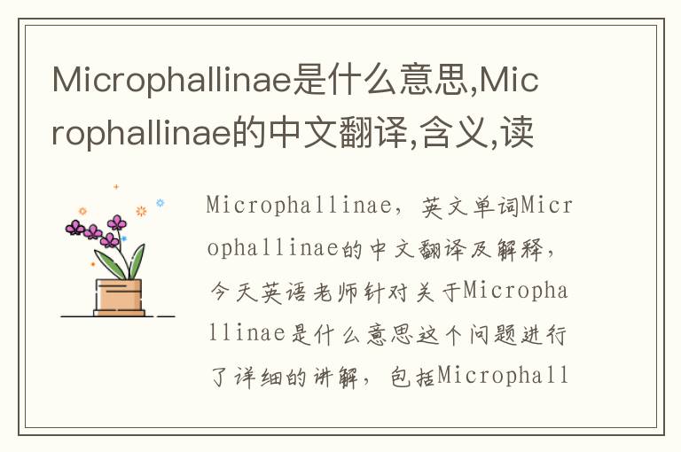 Microphallinae是什么意思,Microphallinae的中文翻译,含义,读音发音,用法,造句,参考例句