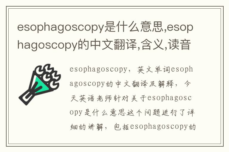 esophagoscopy是什么意思,esophagoscopy的中文翻译,含义,读音发音,用法,造句,参考例句